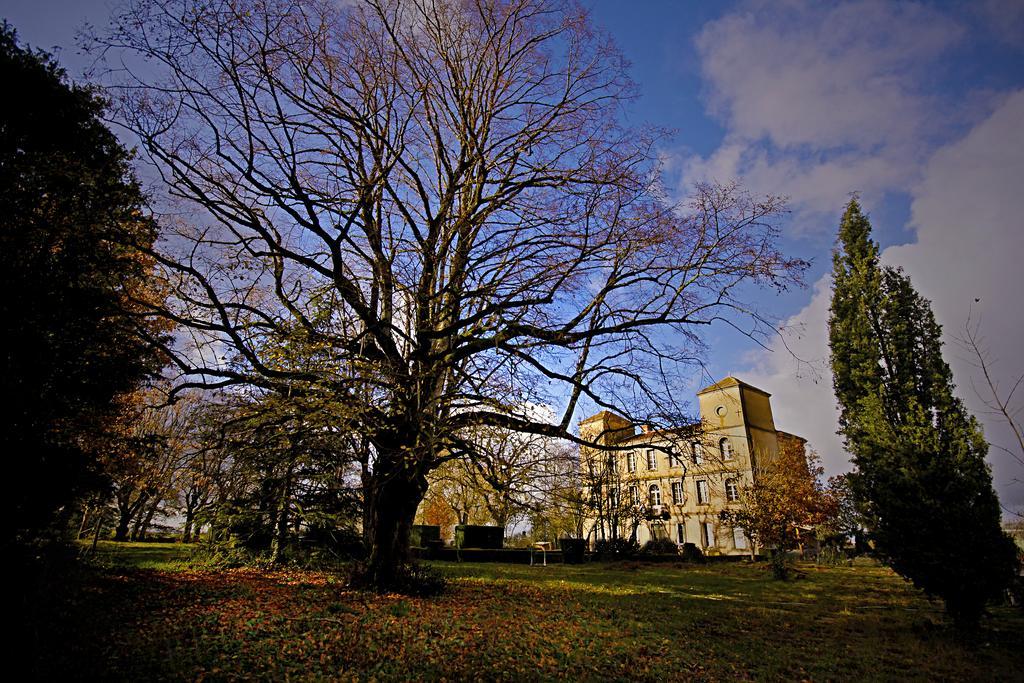 Domaine De La Celarie Mouzieys-Teulet エクステリア 写真